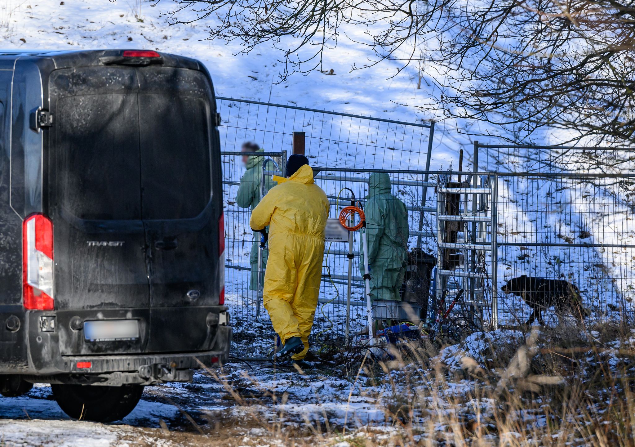 Özdemir: Kein weiterer Fall von Maul- und Klauenseuche